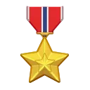 🎖