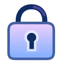 🔒